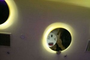 幼儿园保安师傅招聘文案（幼儿园安全守护者招募启事）