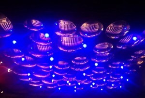 杭州翻台高的夜场招聘包厢陪唱,应聘联系方式是什么