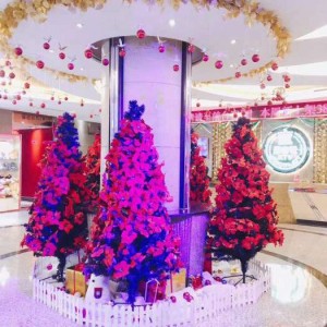 云和人才赴杭求职，聚焦IT互联网行业