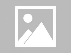 外省户籍者在杭觅职：IT互联网行业新机遇