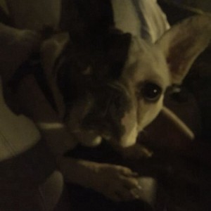 杭州拱墅区潮鸣街道附近夜场招聘酒水促销员,是当天上班当天发薪吗？