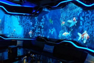 艾迪逊酒店主厨招聘条件（艾迪逊酒店寻找星级大厨：专属主厨职位申请要求）