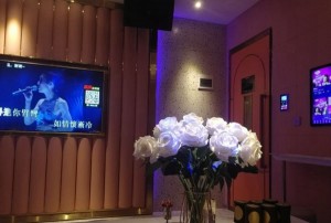 杭州余杭区仓前街道附近ktv招聘商务接待,怎么面试