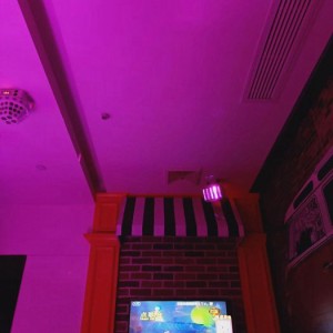 杭州中档酒吧招聘包厢管家,做夜场做高端还是中端好