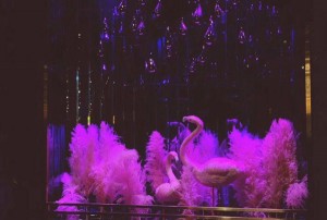 赣州光子文案招聘（赣州光子创意文案征集）