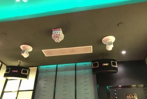 车行服务招聘文案（诚聘车界服务精英，共创卓越出行体验）