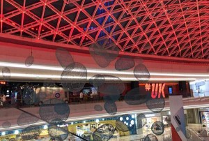 杭州理发培训学校结业，寻美发行业好工作