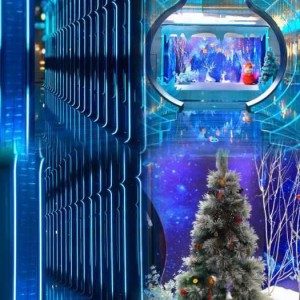 杭州钱塘区附近酒吧招聘现场DJ,全职上班收入多少