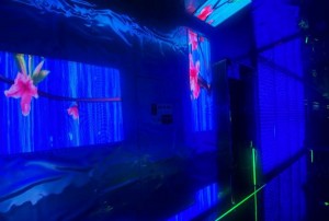 公家单位招聘文案（官方机构人才招募宣传文案）