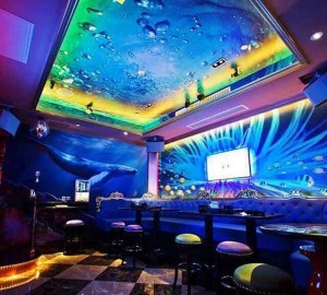 杭州临安区潜川镇附近ktv招聘包厢陪唱,领队直招没套路的