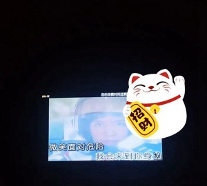 浙江杭州求职热，IT互联网岗虚位以待